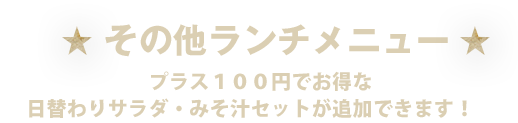 その他ランチメニュー