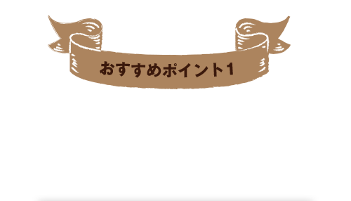 おすすめポイント1