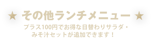 その他ランチメニュー